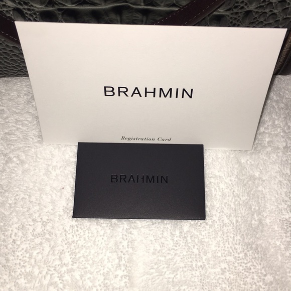 Brahmin - Picture 6 of 6